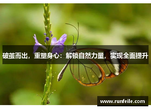 破茧而出，重塑身心：解锁自然力量，实现全面提升